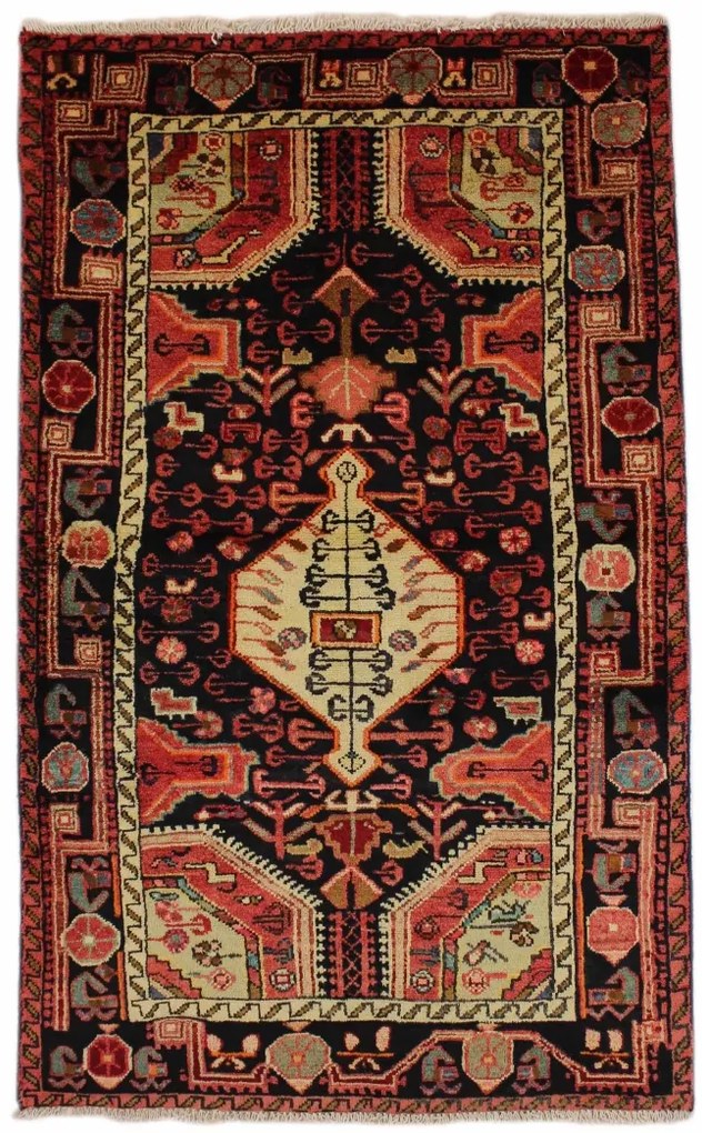Hamedan Tappeto 170x110 (Iran)