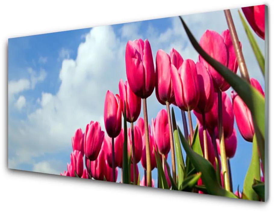 Quadro in vetro Muro di tulipani 100x50 cm