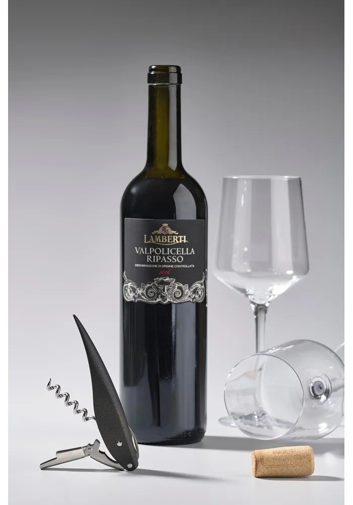 Cavatappi Rocks - Zone