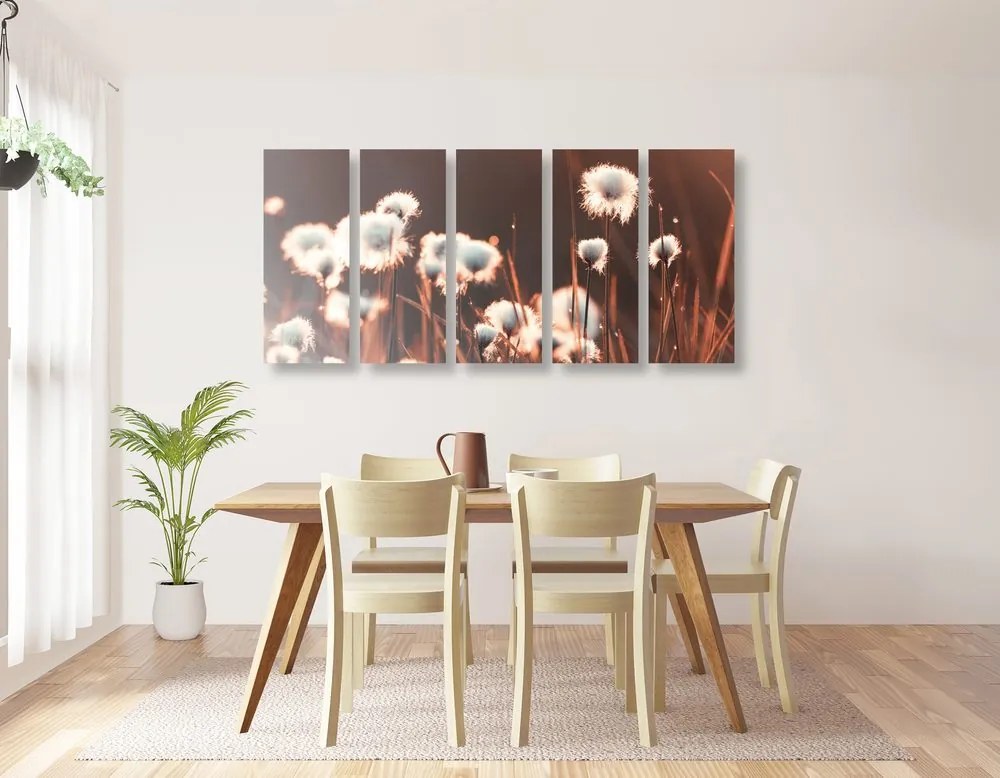 Quadri 5 pezzi – Erba di cotone