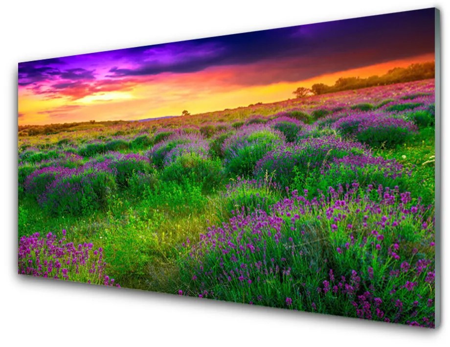 Pannello paraschizzi cucina Prato Natura 120x60 cm