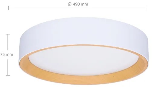 Brilagi -Luce LED dimmerabile LARIOS LED/60W/230V 3000-6500K ø 49 cm white+RC
