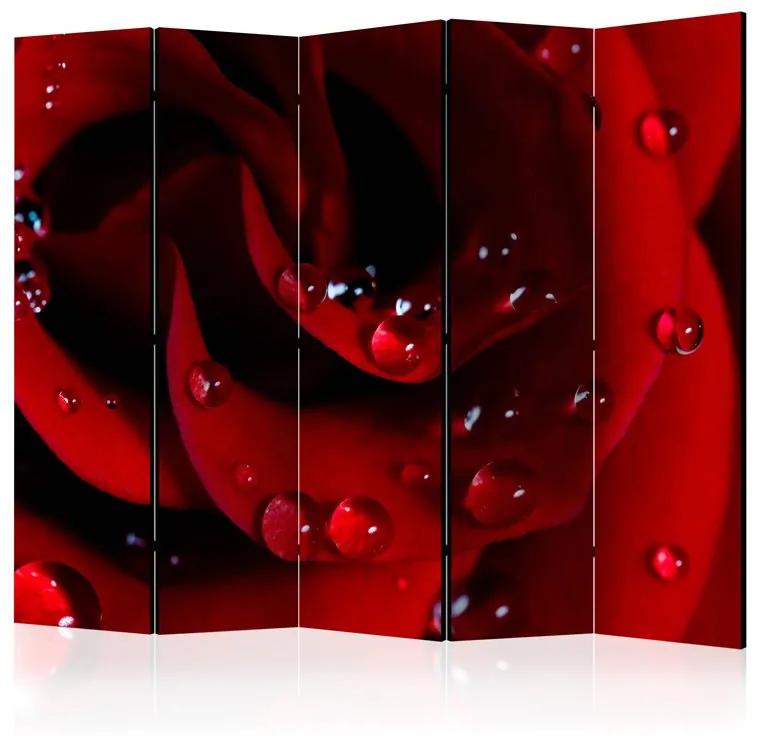 Paravento Red rose with water drops II [Room Dividers]