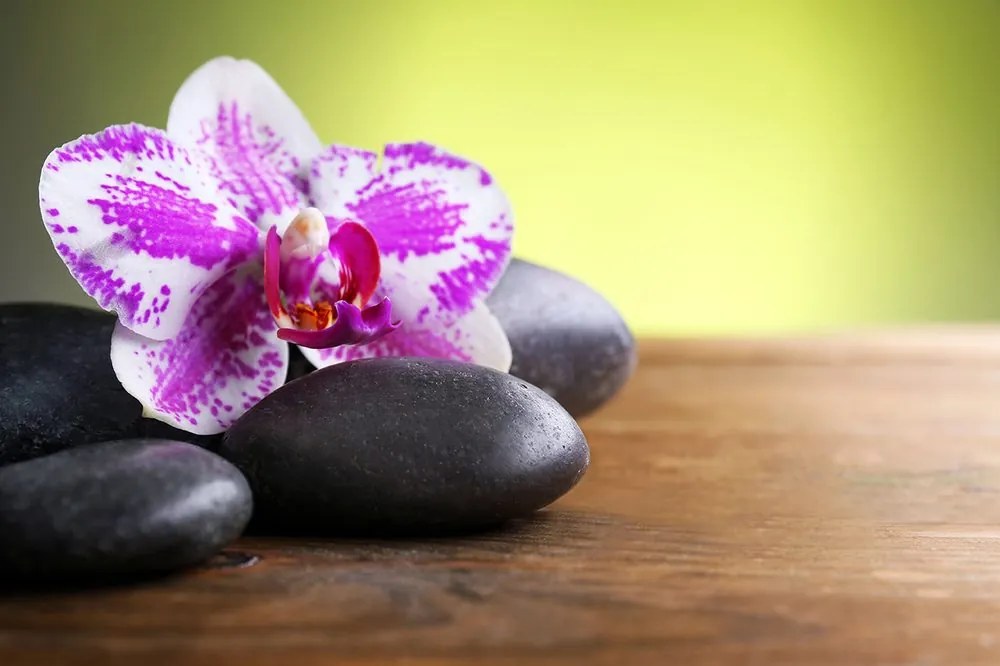 Carta da parati autoadesiva – Orchidea e pietre nere
