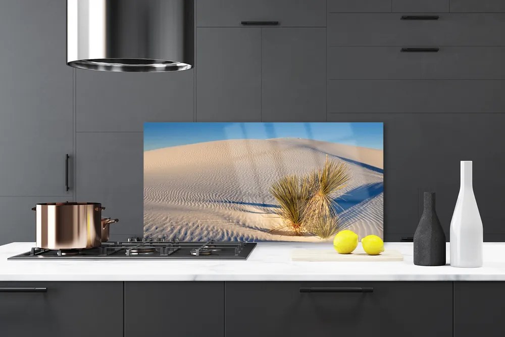 Rivestimento parete cucina Paesaggio di sabbia del deserto 140x70 cm