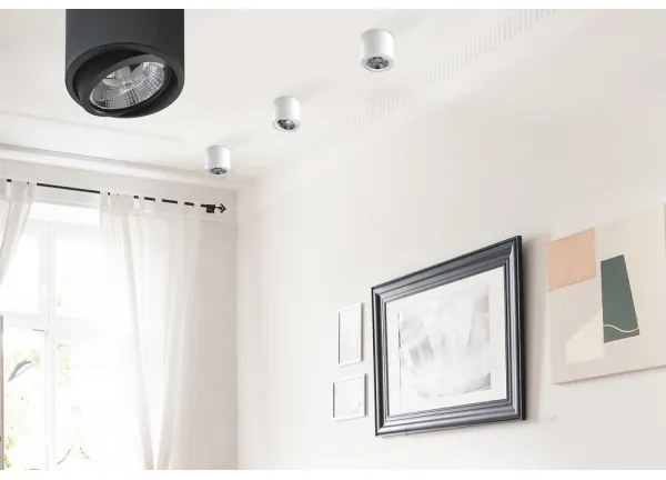 Azzardo AZ1356 - Plafoniera ALIX 1xG53/50W/230V/12V