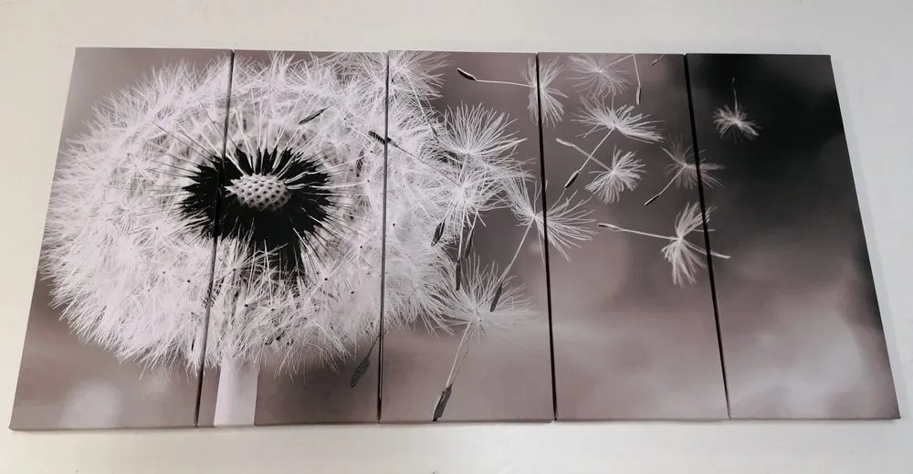Quadri 5 pezzi – Dente di leone magico in bianco e nero
