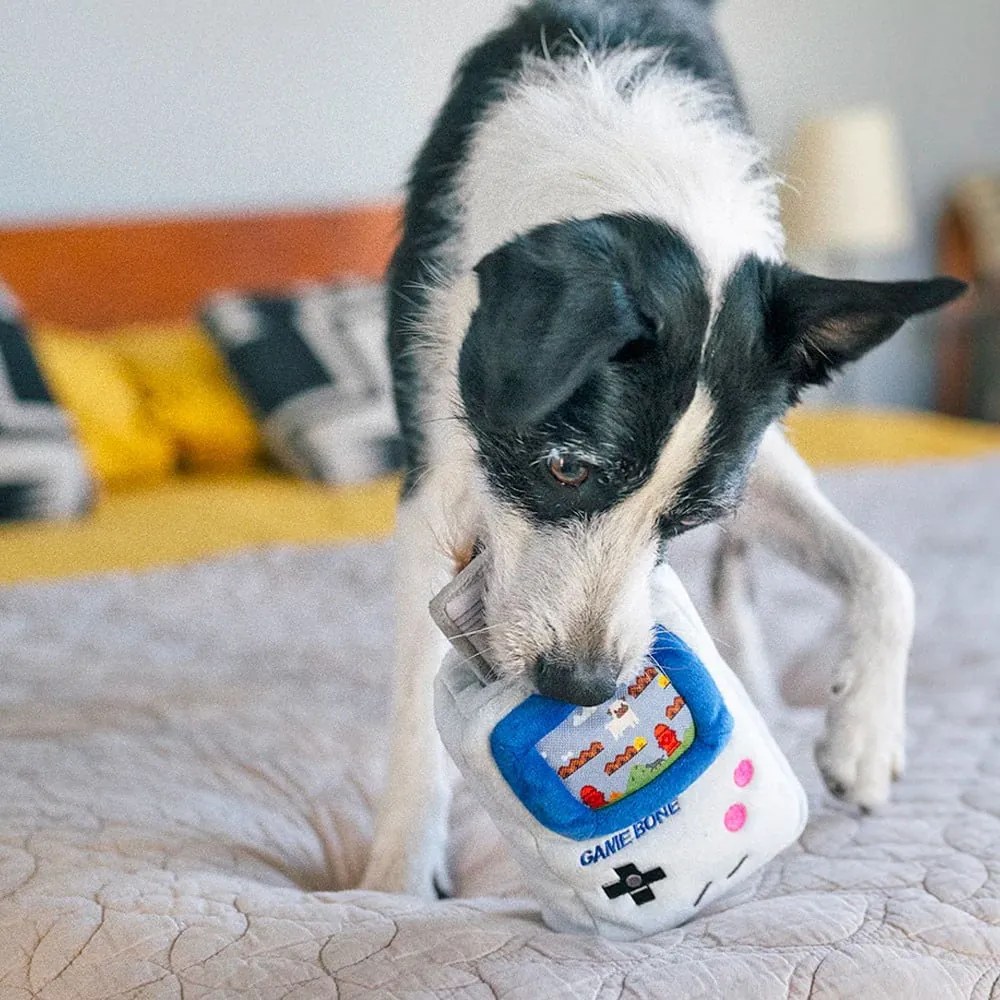 Giocattolo per cane Game Boy - P.L.A.Y.