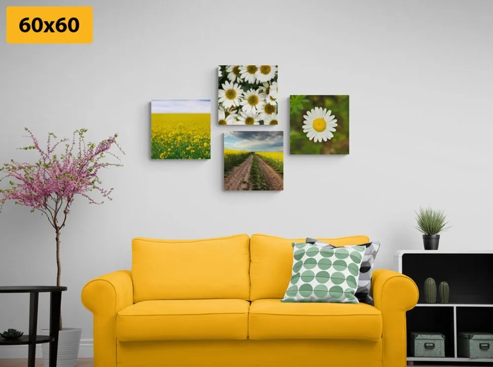 Set di quadri – Prato pieno di fiori