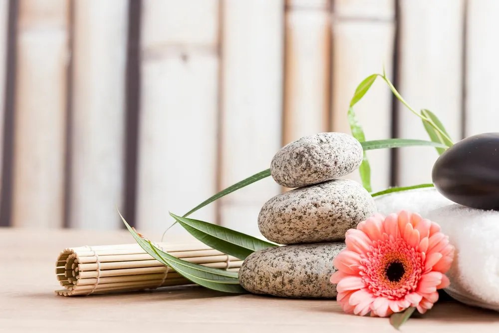 Quadro su tela – Natura morta benessere meditativa