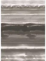 Tapete Ukiyoe von Designers Guild - Graphite