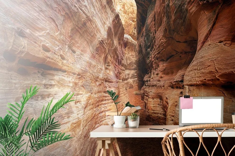 Carta da parati – Sentiero nel Grand Canyon