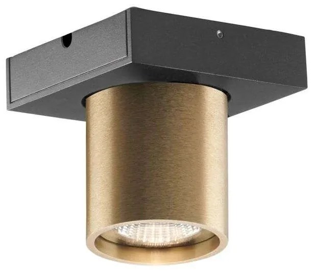 Light Point - Focus 1 LED Plafoniera 2700K Brass LIGHT-POINT