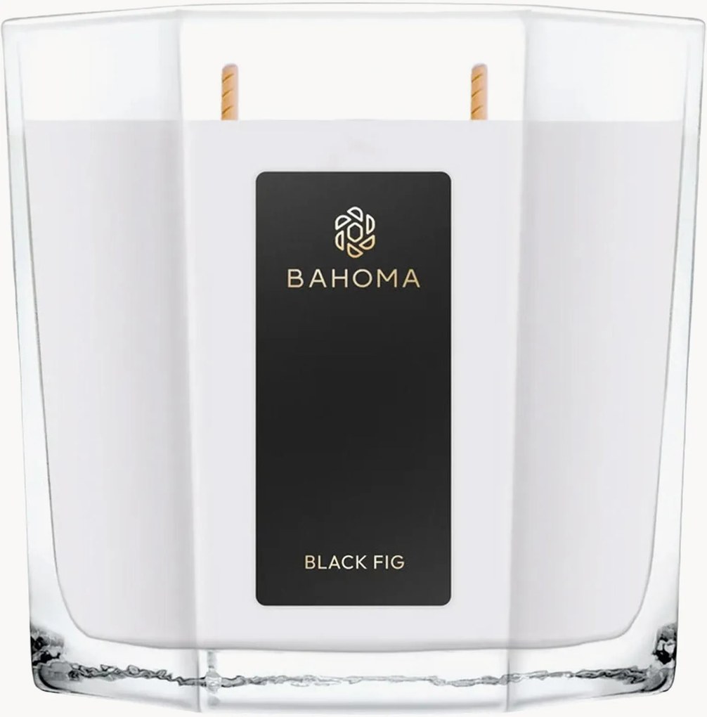 Candela profumata XL versata a mano Black Fig (gelsomino, fico, legno di sandalo)