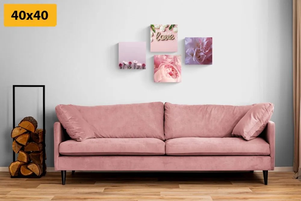 Set di quadri – Fiori in delicata tonalità rosa