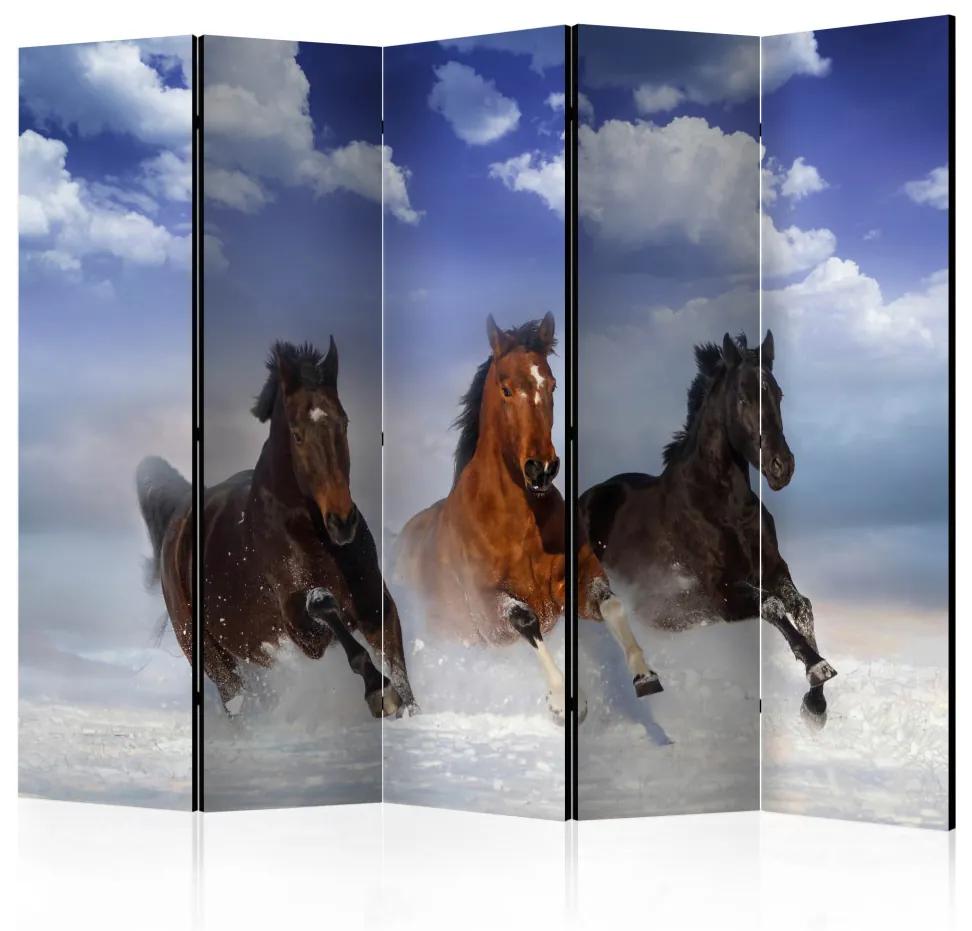 Paravento design Cavalli nella neve II (5-parti) - animali in corsa e cielo blu