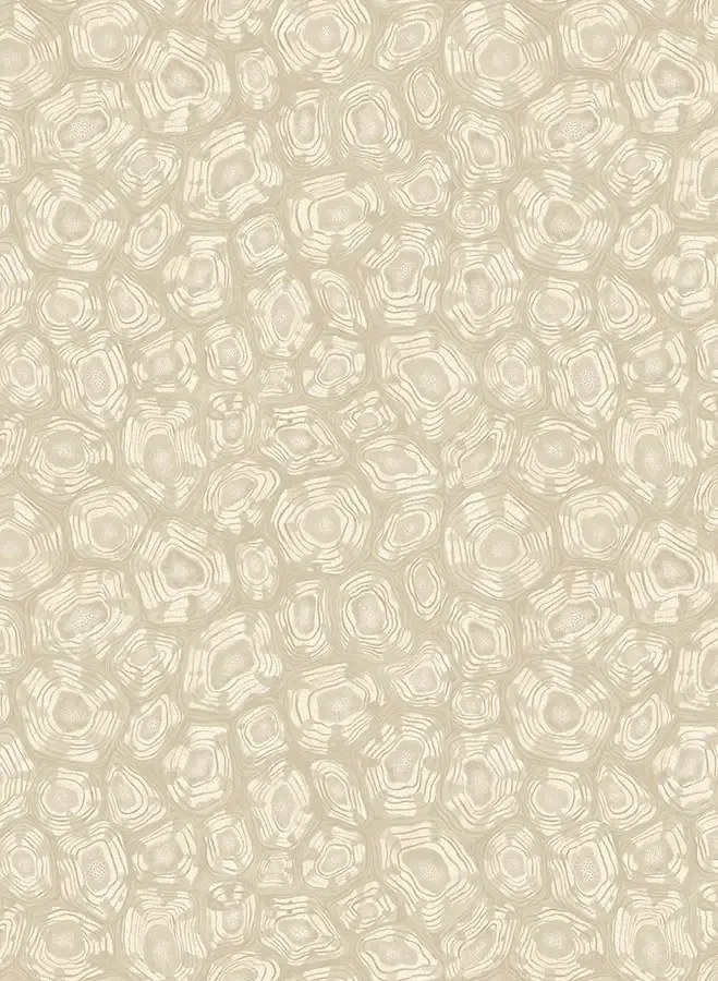 Cole & Son Carta da parati Savanna Shell - 119/4021