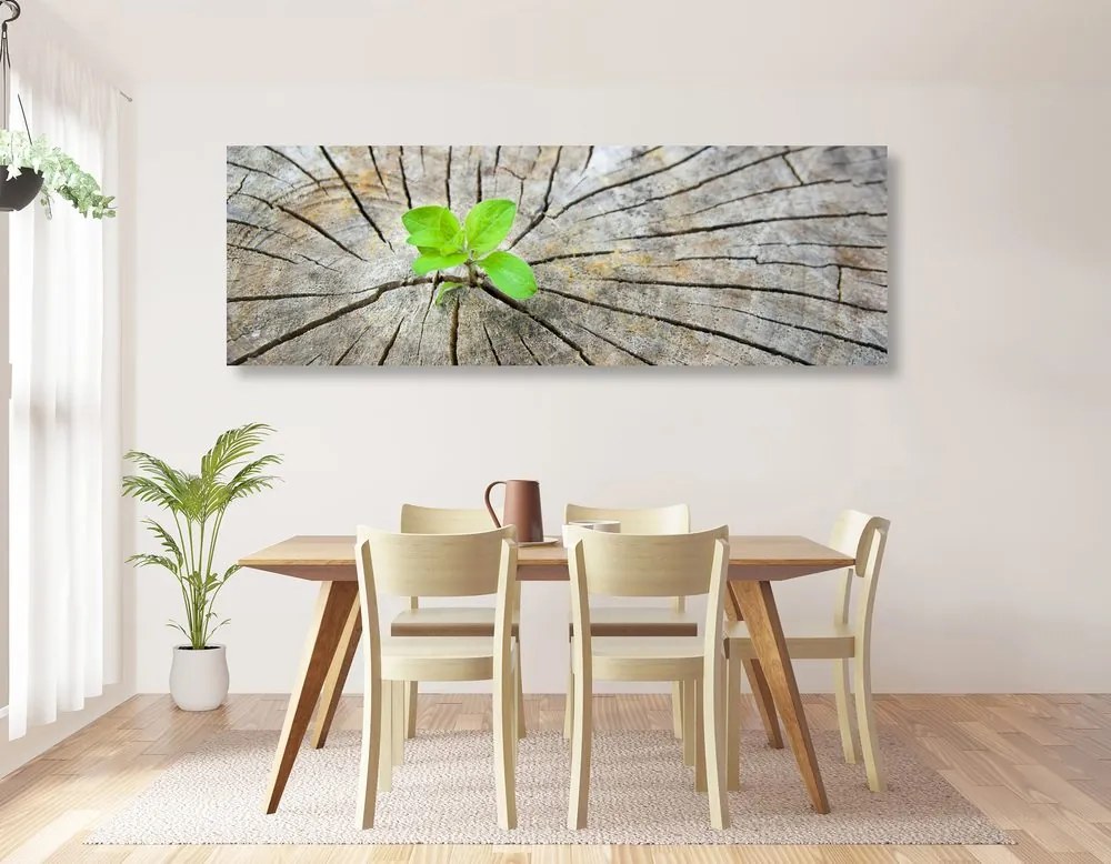 Quadro su tela – Nascita di una nuova vita