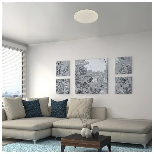 Rabalux 5540-LED Plafoniera dimmerabile DAMIEN LED/24W/230V Wi-Fi +DO