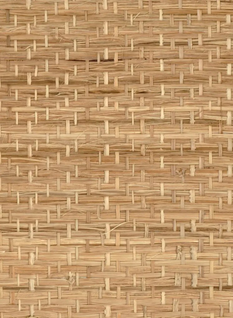 CMO Paris Tapete Abaca Herbacé - Naturel