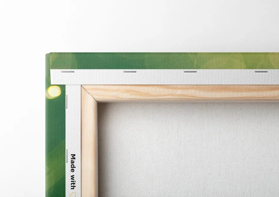 Quadro su tela – Rugiada mattutina