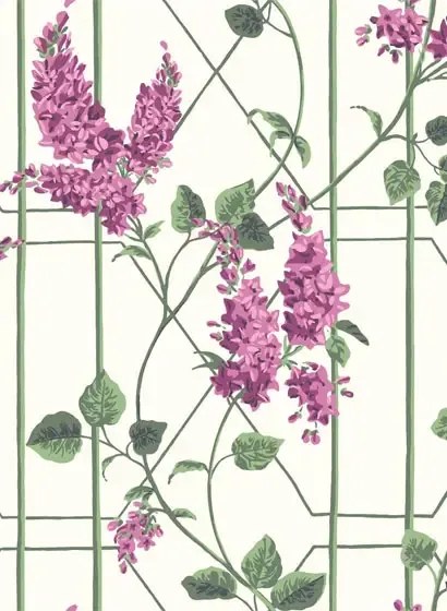 Cole & Son Carta da parati Wisteria - Magenta/ Leaf Green