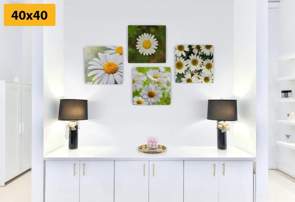 Set di quadri – Fiori incantevoli