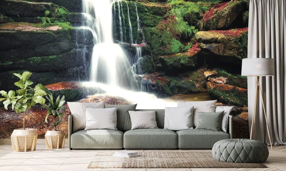 Carta da parati – Cascata nel bosco