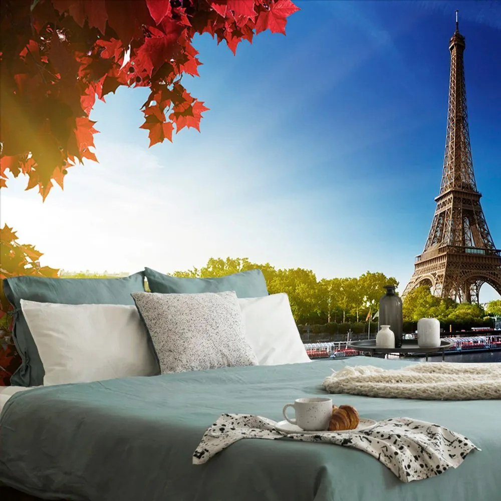 Carta da parati – Parigi autunnale