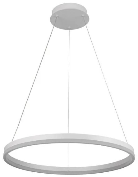 Brilagi - Lampadario a sospensione con filo LED dimmerabile CIRCLE LED/42W/230V 3000-6500K + +TC