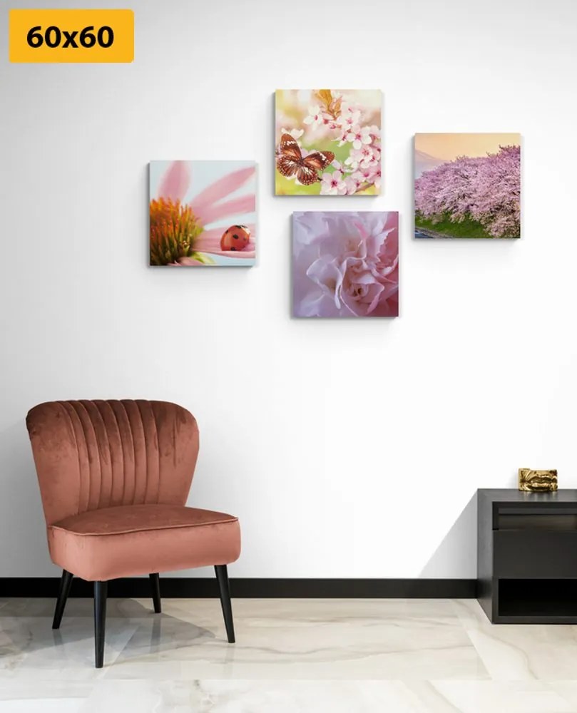 Set di quadri – Fioritura della natura