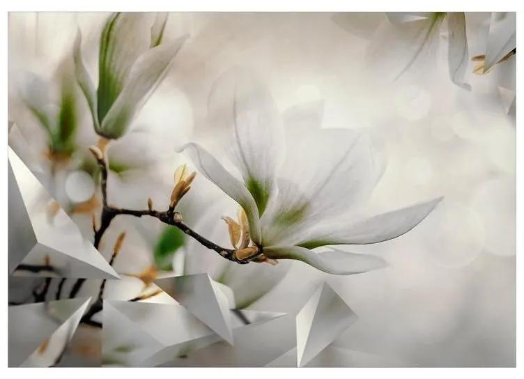 Fotomurale adesivo Subtle Magnolias Second Variant