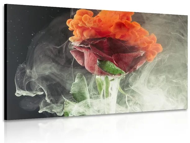 Stampa su tela – Rose con elementi astratti