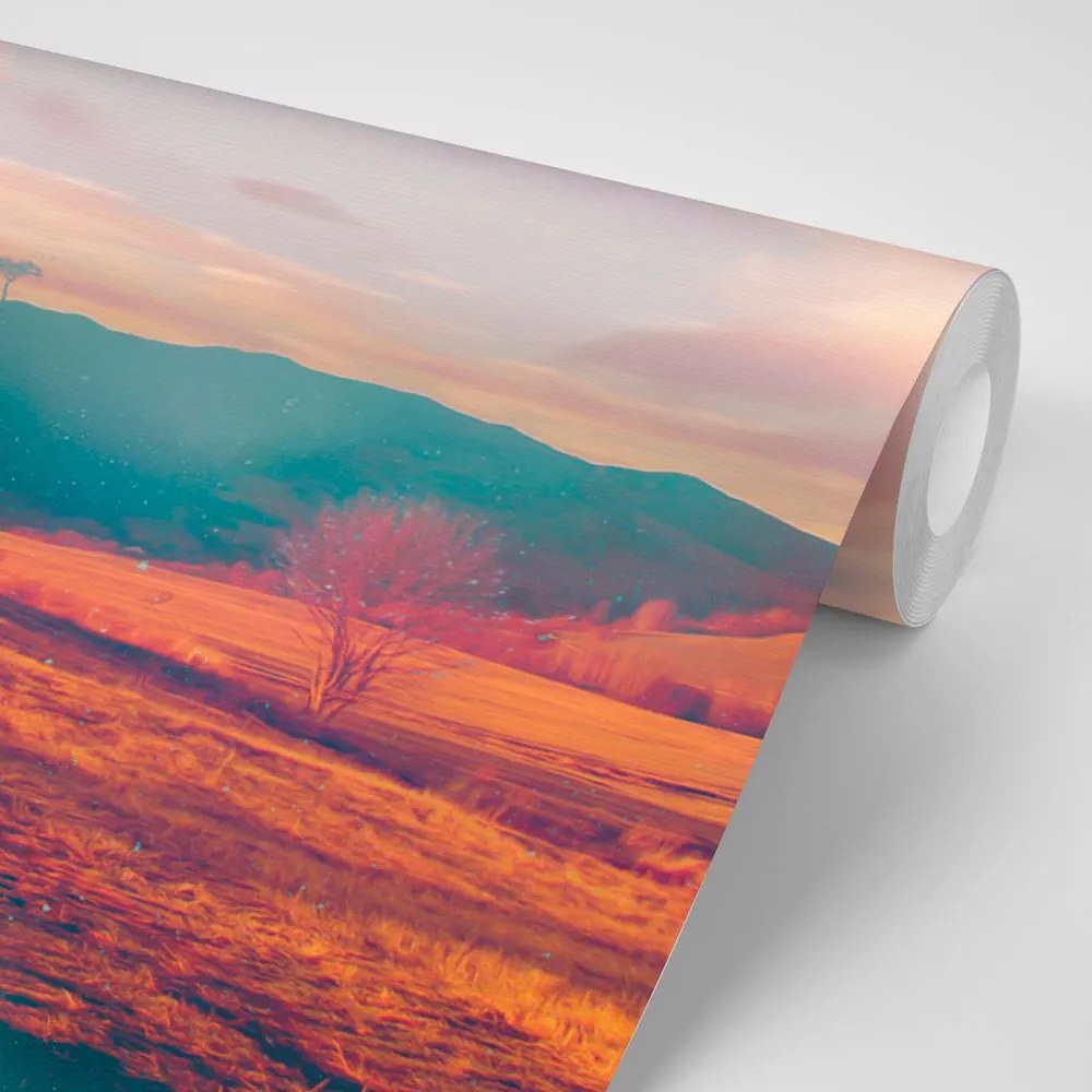 Carta da parati – Campo in atmosfera autunnale