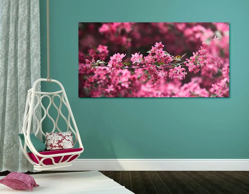 Stampa su tela – Dettaglio di fiori di ciliegio