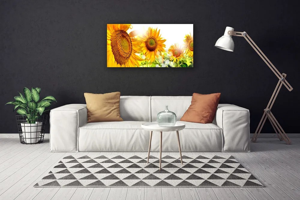 Quadro su tela Pianta di fiori di girasole 100x50 cm