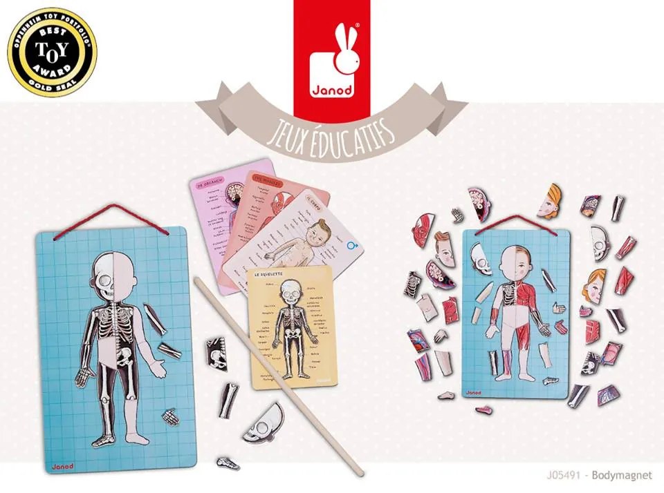 Bodymagnet - Lavagna magnetica - corpo umano