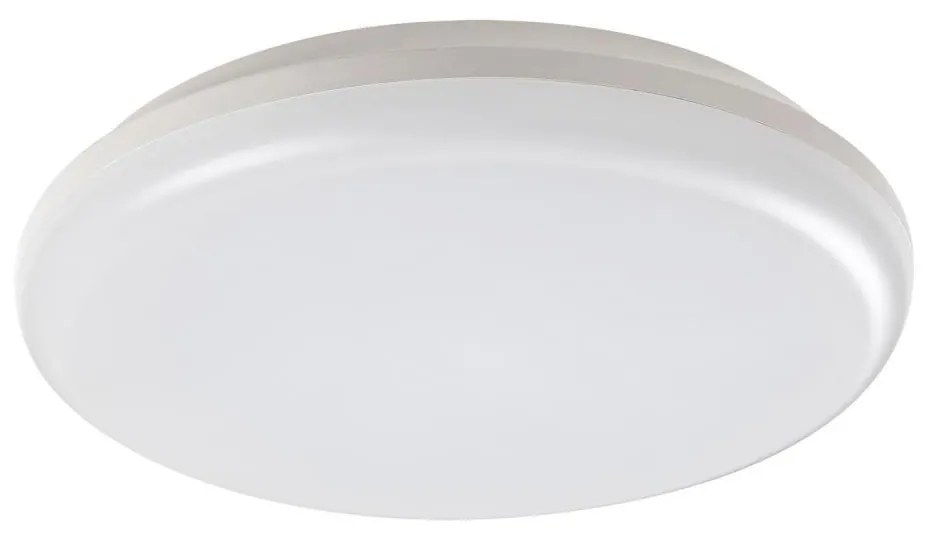 Rabalux 7979 - Plafoniera LED da esterno ERIC LED/24W/230V IP64