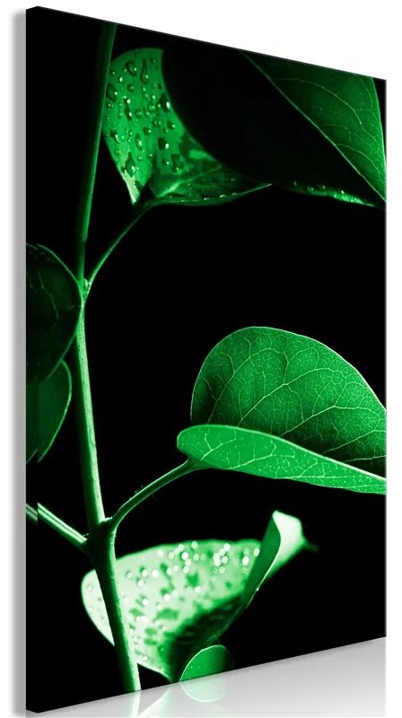 Quadro Plant in Black (1 Part) Vertical  Colore Verde, Dimensioni e Misure 60x90