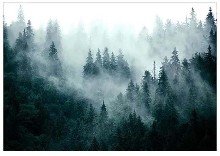 Fotomurale Mountain Forest (Dark Green)