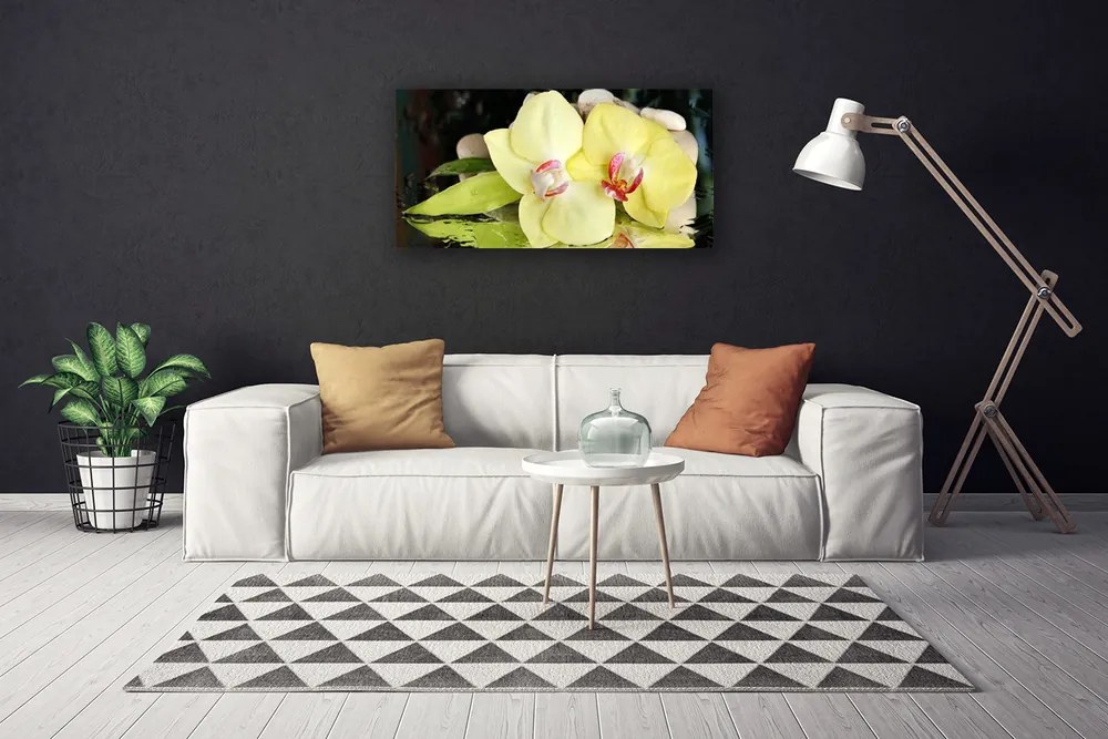 Quadro su tela Petali di fiori di un'orchidea 100x50 cm