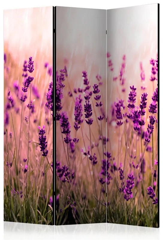 Paravento  Lavender in the Rain [Room Dividers]  Colore Verde, Dimensioni e Misure 135x172