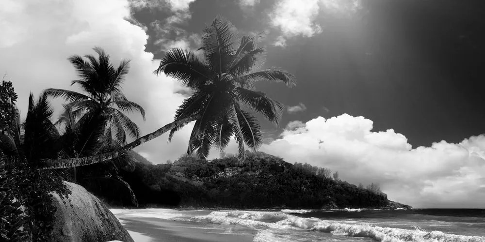 Quadro su tela – Spiaggia stupenda sull'isola delle Seychelles in bianco e nero