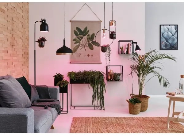 Paulmann 79749 - 1xGU10/20W Lampadario su filo FANJA 230V