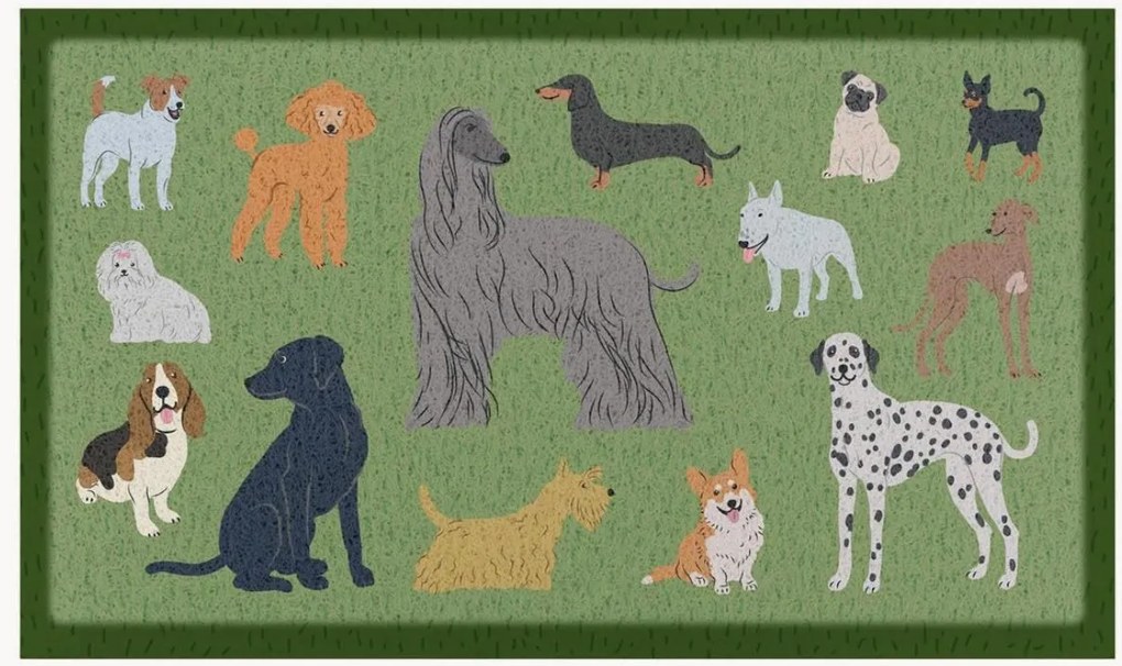 Zerbino indoor/outdoor Dog Breeds