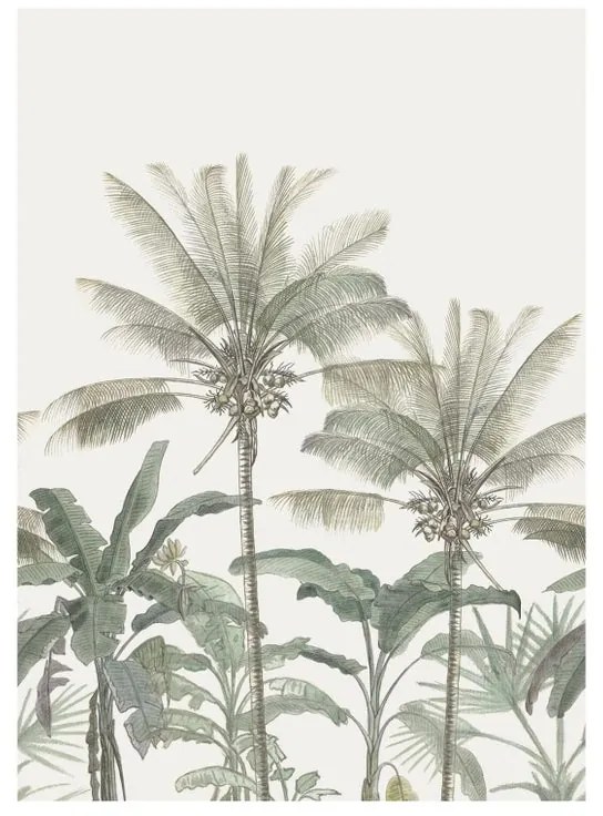 Fotomurale Palme, beige