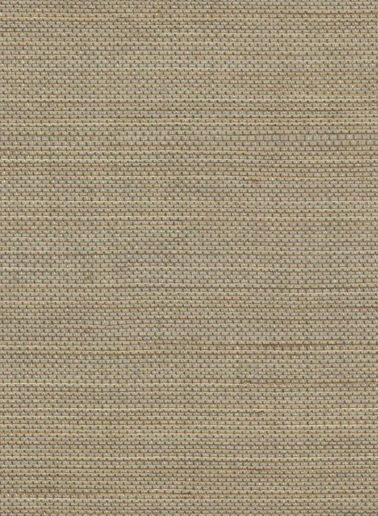 Élitis Carta da parati Pur Abaca - RM 1071 05