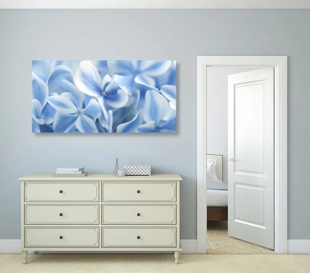 Stampa su tela – Fiori di ortensia blu-bianco