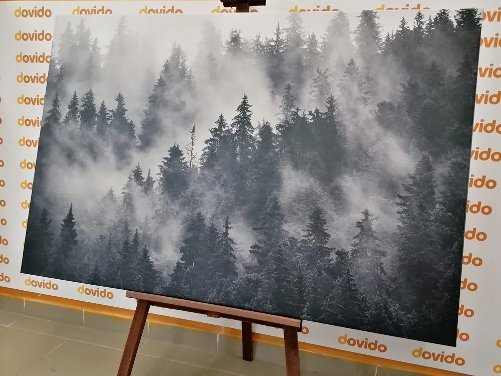 Stampa su tela – Montagne nella nebbia in bianco e nero