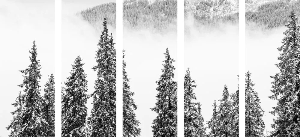 Quadri 5 pezzi – Alberi di pino innevati in bianco e nero
